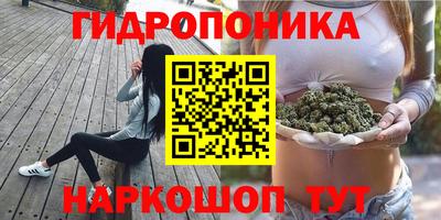шишки Ирбит